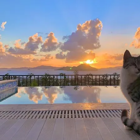 Vila Bodrum - 5 Bedrooms “sunset Villa”, With Infinity Heated Swimming Pool